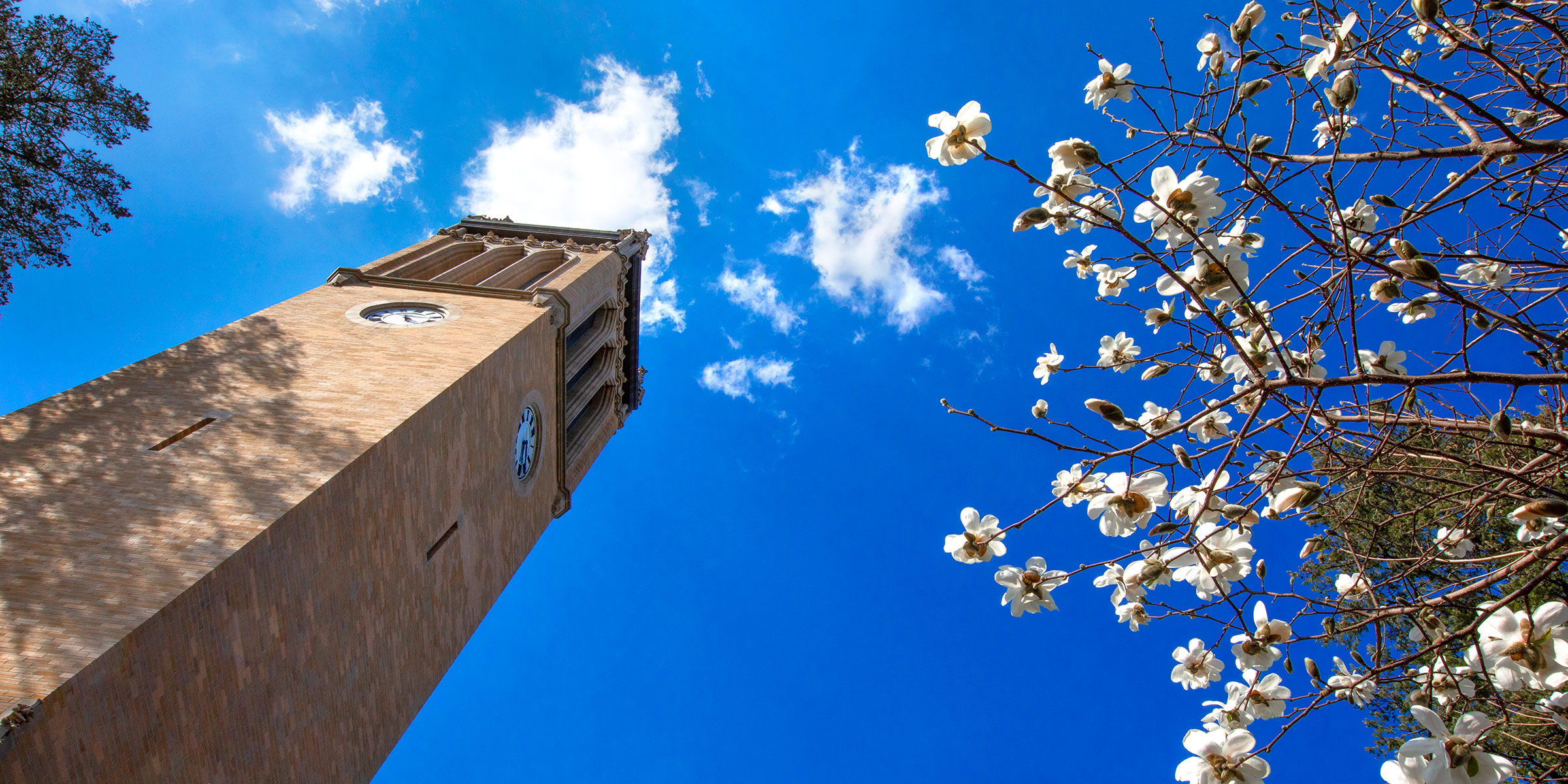 Campanile on blue sky